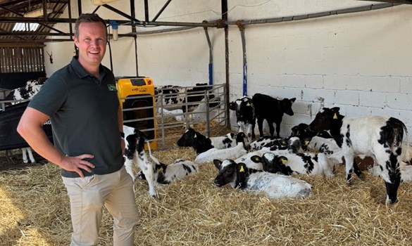 Tommy Heffernan standing in a cowshed with calves
